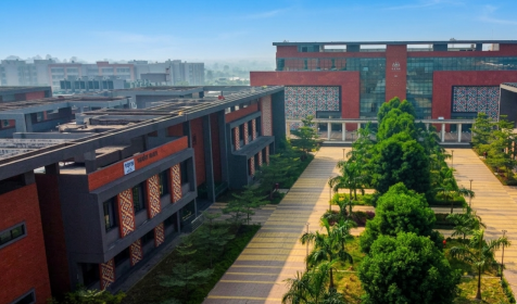 PhD in Management for Working Professionals